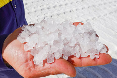 Pristine white Antarctic sea salt crystals held in a hand