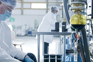 Scientist observing the Organic, Full Spectrum CBD distillation process